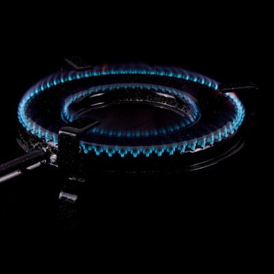 Paellero Flames VLC T-250 de 25cm Gama Alta