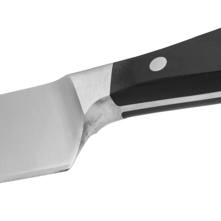 Cuchillo Cocinero Arcos (250mm)  | Paelleros Roger