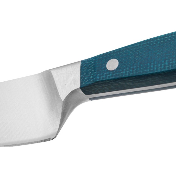 Cuchillo Cebollero Arcos (210mm)  | Paelleros Roger