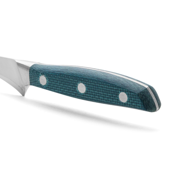 Cuchillo para el jamón Arcos (250mm)  | Paelleros Roger