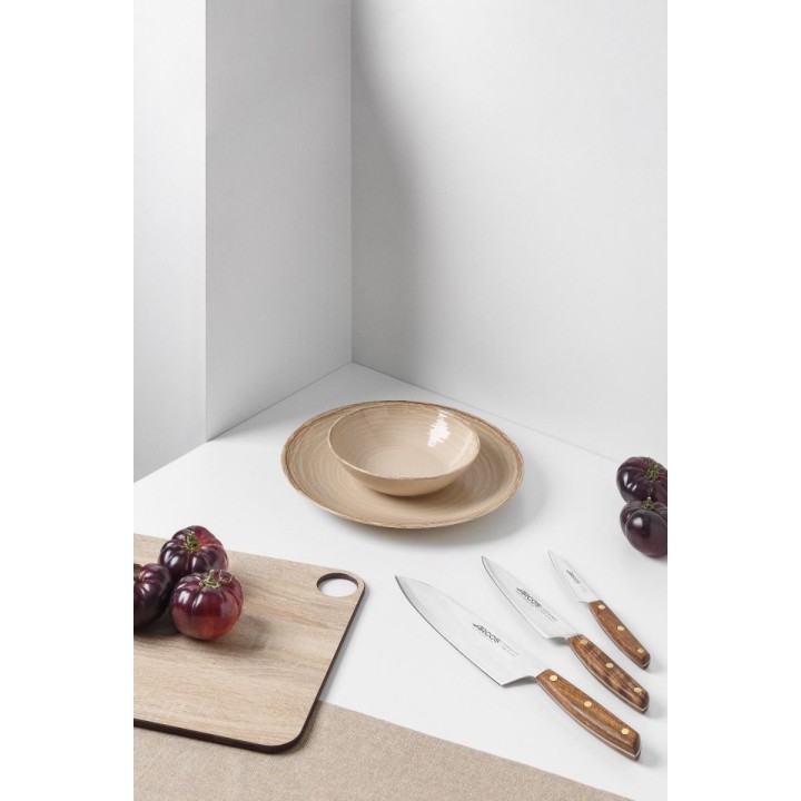 Juego de cuchillos cocina Arcos Nordika 167100 | Paelleros Roger