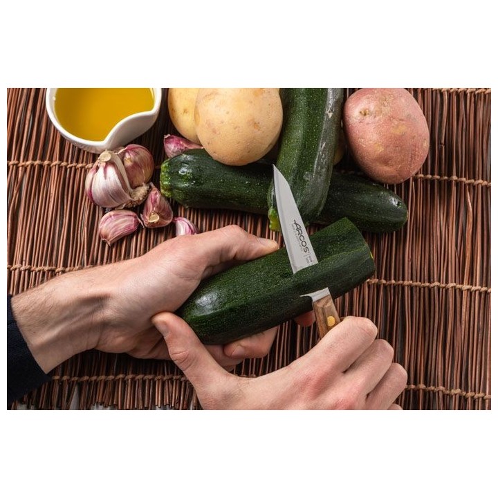 Juego de cuchillos cocina Arcos Nordika 167100 | Paelleros Roger