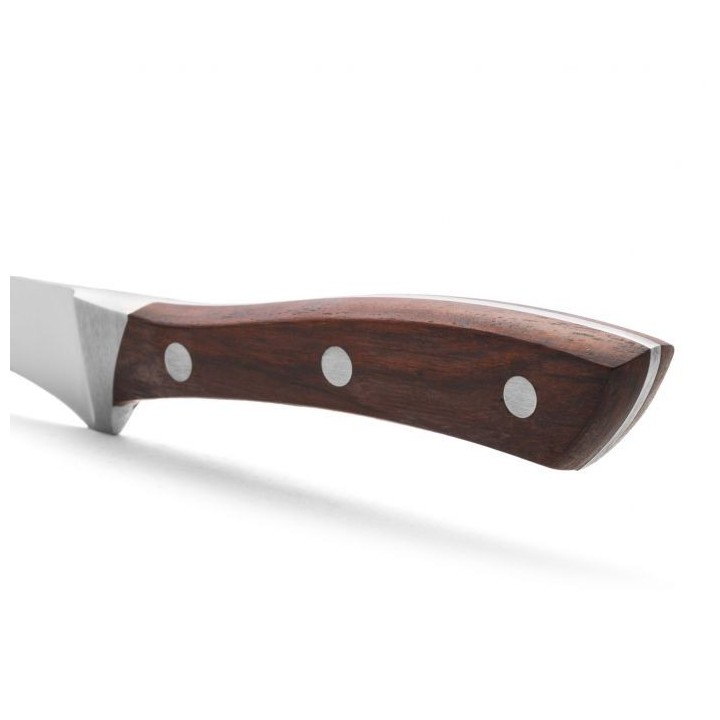 Arcos Natura - Cuchillo Jamonero (250mm) 155610 | Paelleros Roger