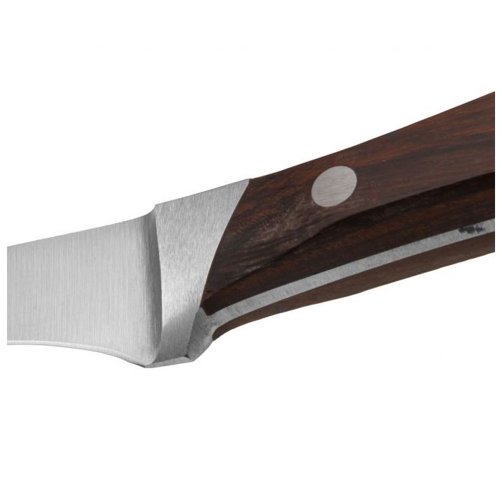 Arcos Natura - Cuchillo Jamonero (250mm) 155610 | Paelleros Roger