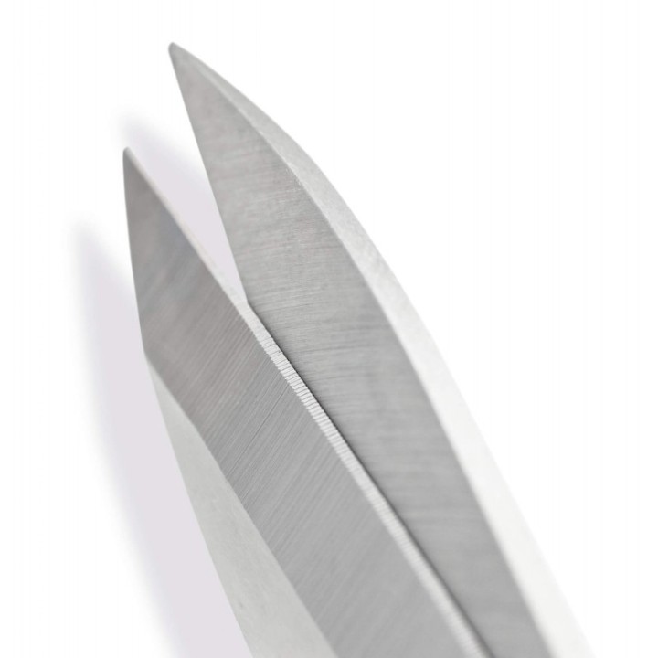 Tijeras de Cocina Pescado Large 3 Claveles | Paelleros Roger
