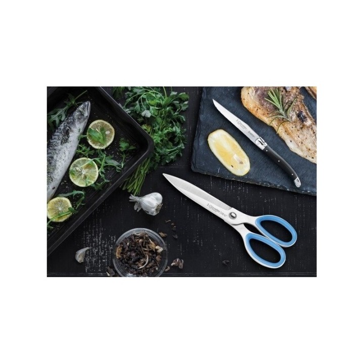 Tijeras de Cocina Pescado Large 3 Claveles | Paelleros Roger