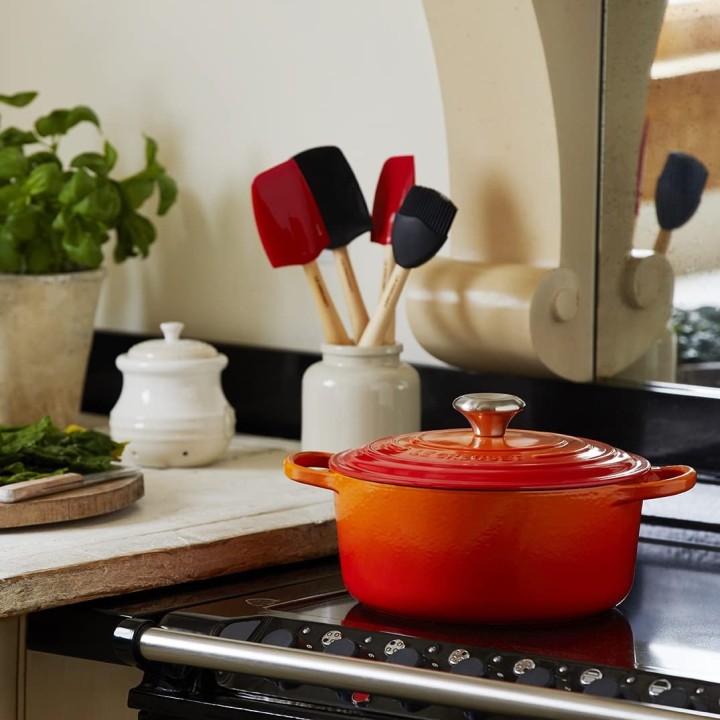 Cocotte redonda Evolution Volcánico 22 cm | Paelleros Roger