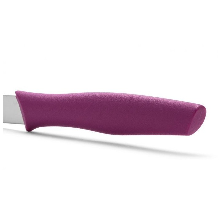 Cuchillo mondador Arcos Fucsia 100mm | Paelleros Roger