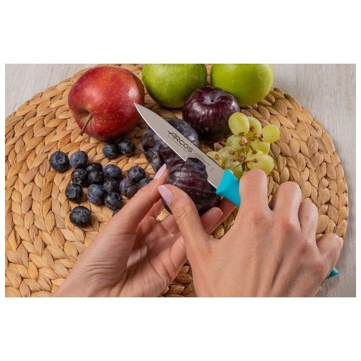 Cuchillo mondador Arcos Turquesa 100mm | Paelleros Roger