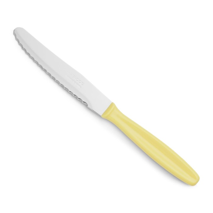 Cuchillo Postre Arcos de 105mm (370100) | Paelleros Roger