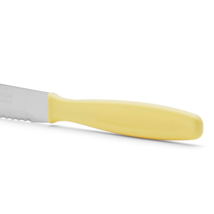 Cuchillo Postre Arcos de 105mm (370100) | Paelleros Roger