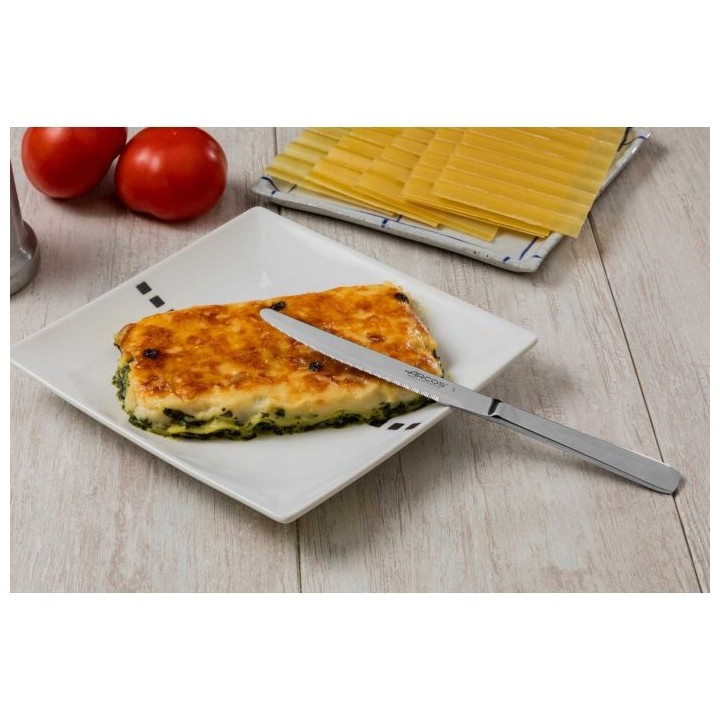Cuchillos de mesa Arcos 125mm | Paelleros Roger