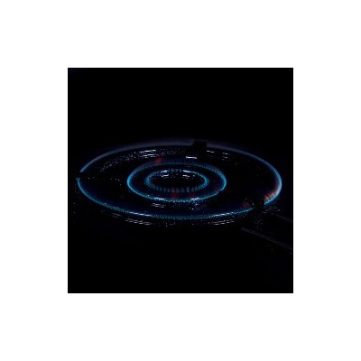 Paellero de 40cm Gama Premium Vaello *Extra Gas*
