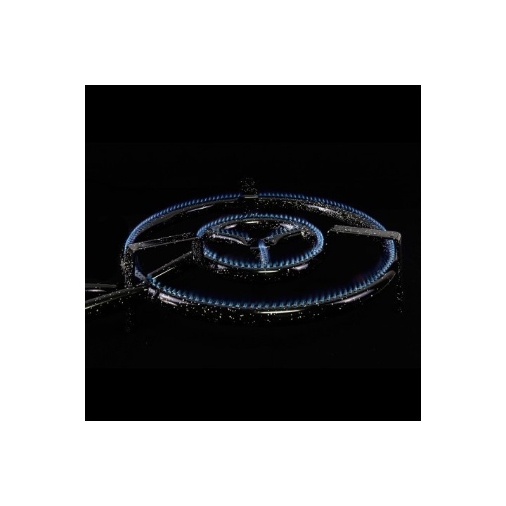 Paellero de gas butano 40 cm + Regulador + Goma