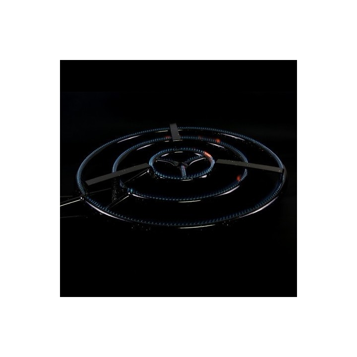 Paellero de gas butano 60 cm + Regulador + Goma