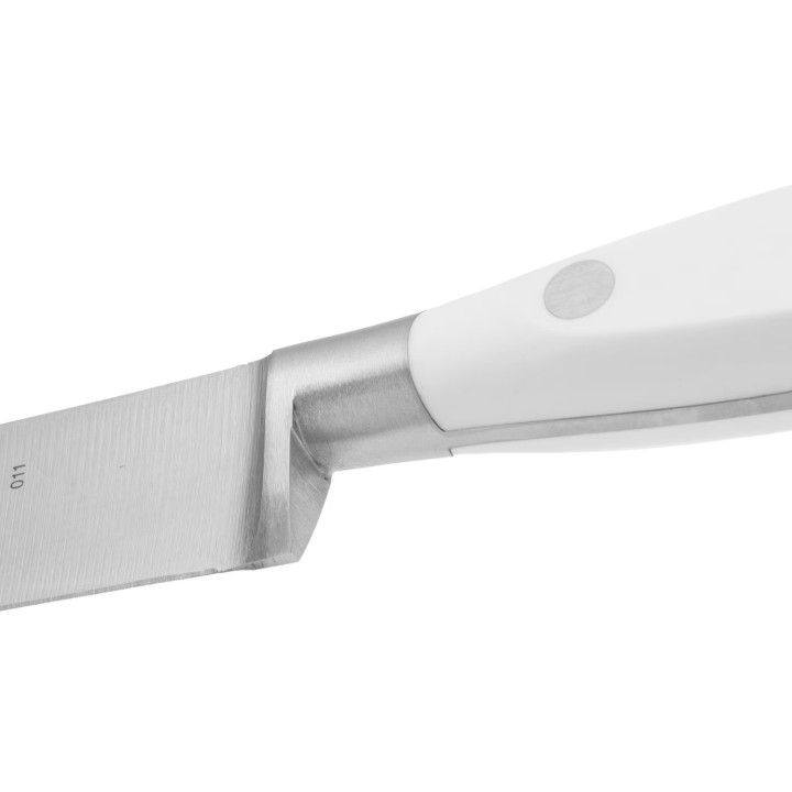 Cuchillo Arcos Fileteador de 200mm | Paelleros Roger
