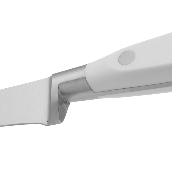 Cuchillo Arcos Jamonero de 250mm  | Paelleros Roger