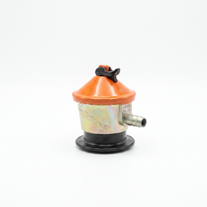 Regulador profesional de gas 112 mbar | Paelleros Roger