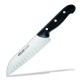 Cuchillo Santoku (170mm) Serie Maitre 151600